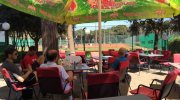 Tenniscamp Biograd 2015 05